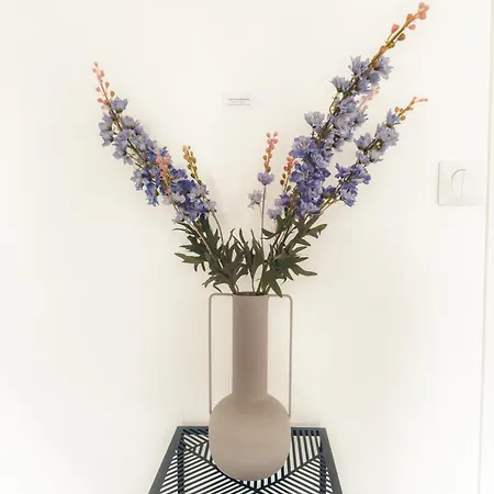 Appartement Lava Poitiers