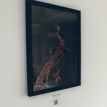 Appartement Lava Poitiers